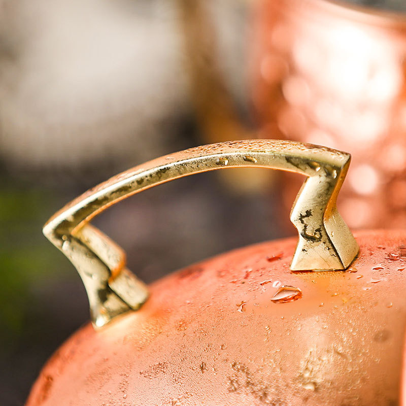 6 pezzi 60 ml mulo tazze di ra - Mule Copper Mug recensione e prezzo