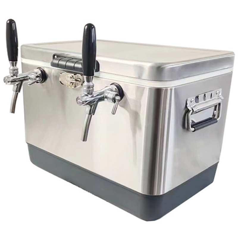 Refrigeratore per Birra Domest - Home Bar And Counter recensione e prezzo